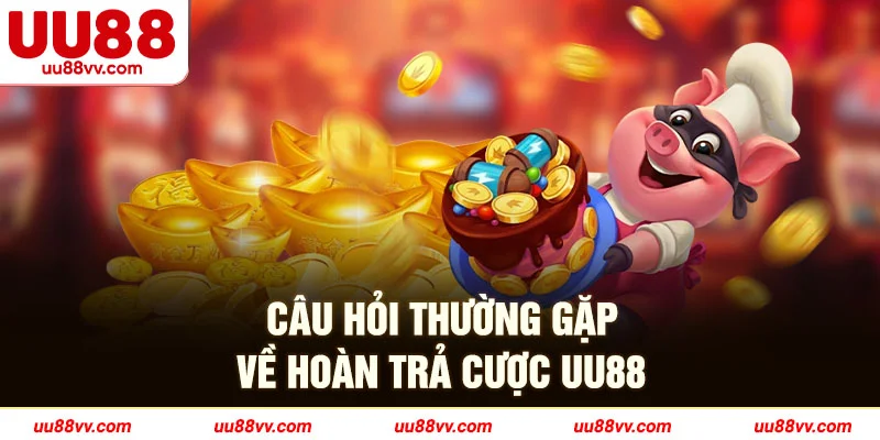 Câu hỏi thường gặp về hoàn trả cược UU88